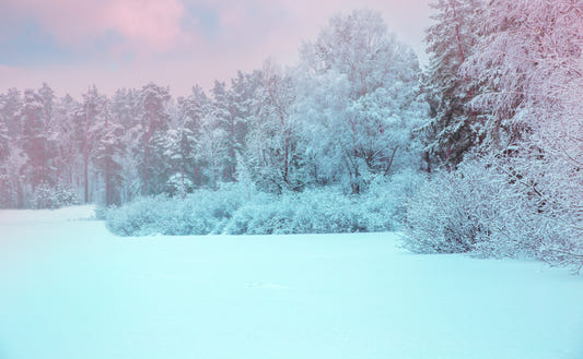 Winter Landscape Snow Forest Wallpaper