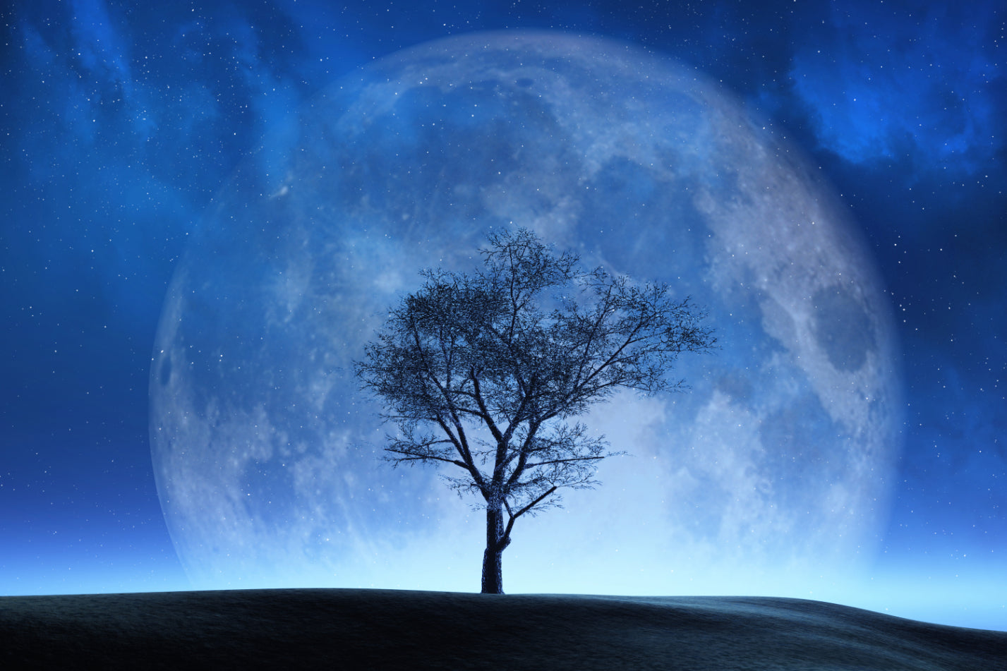 Celestial Moonlit Tree Wallpaper