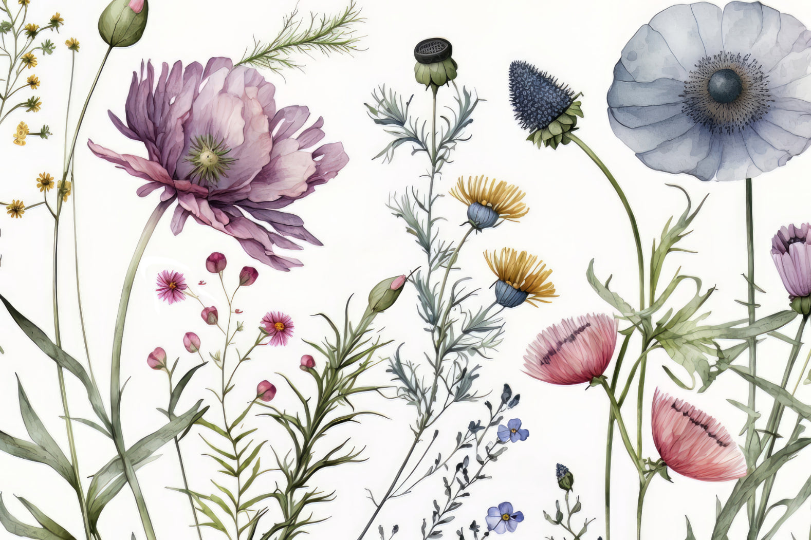 Watercolor Wildflower Botanical Wallpaper