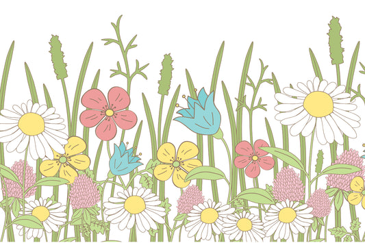 Hand-Drawn Wildflower Wallpaper