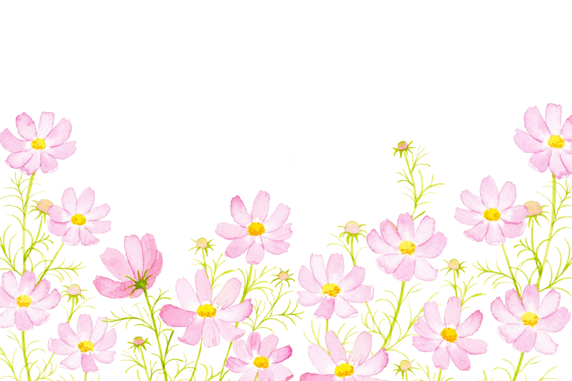 Pink Watercolor Floral Wallpaper