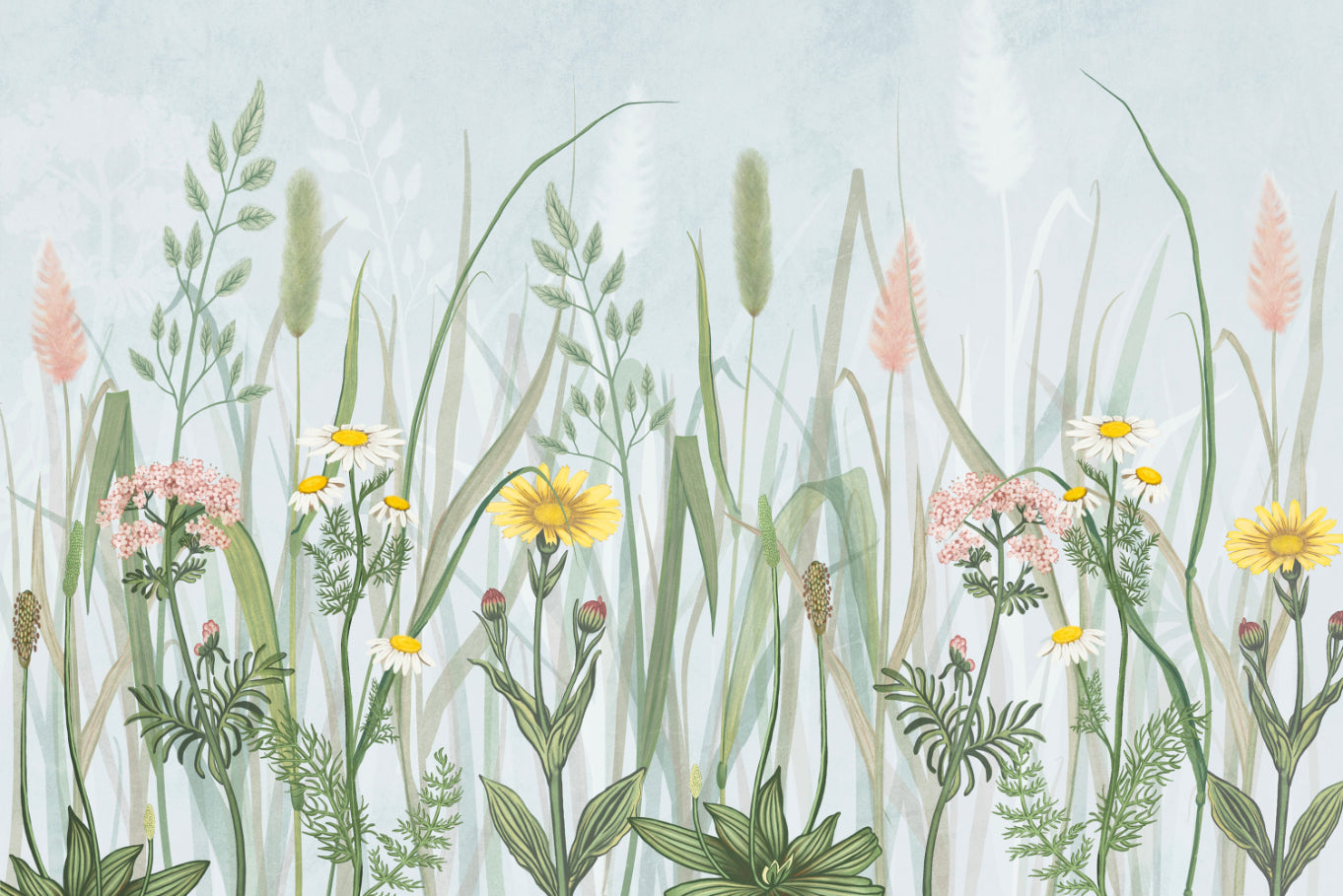 Wildflower Meadow Botanical Wallpaper