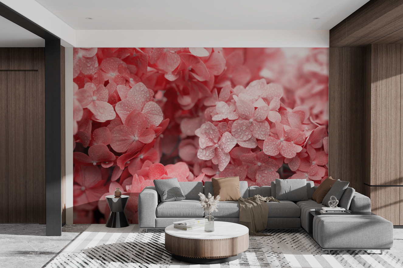 Red hydrangea flower wallpaper with water droplets