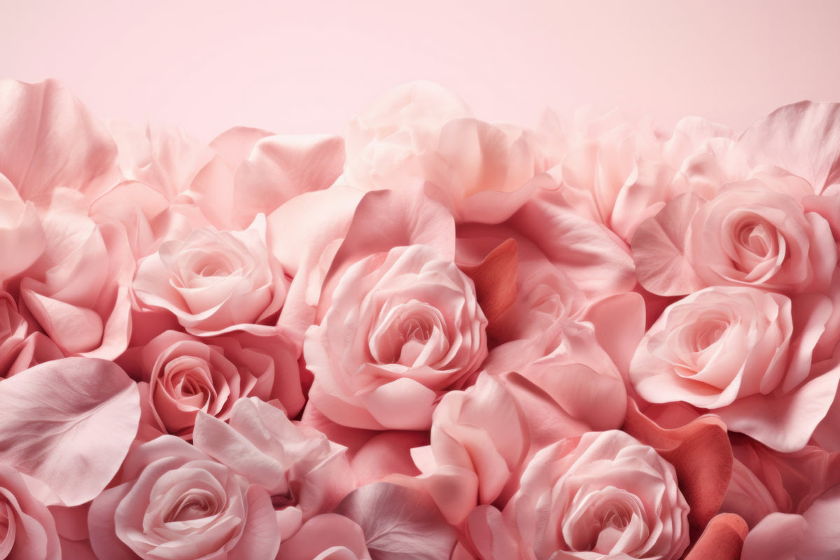 Luxury Pink Rose Wallpaper in your room