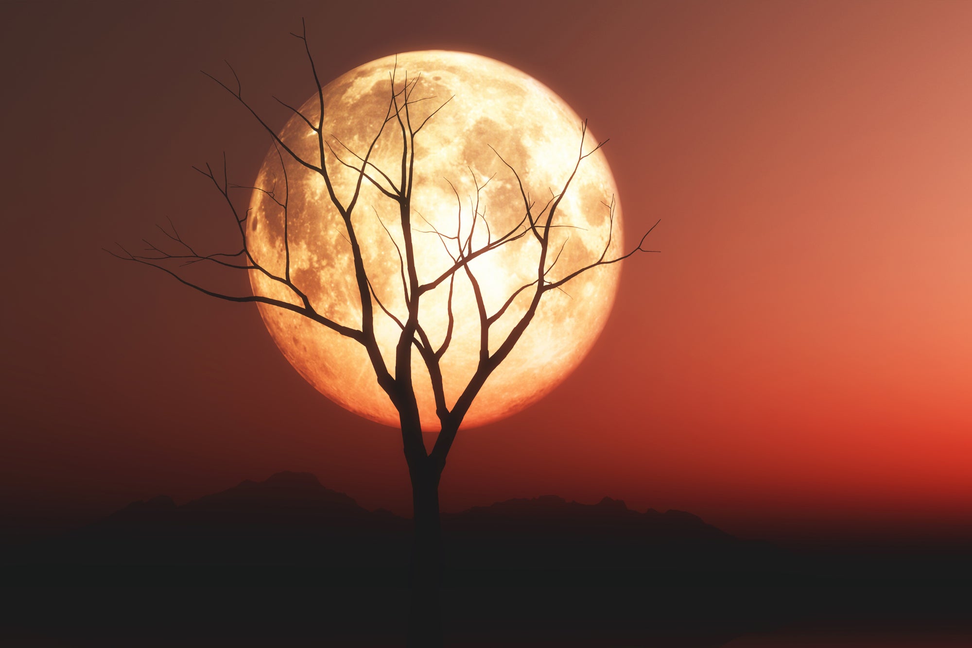 Scarlet Moon Nightscape Wallpaper