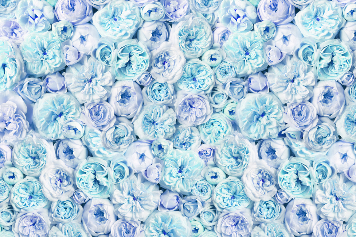 Vintage Blush Blue Wallpaper