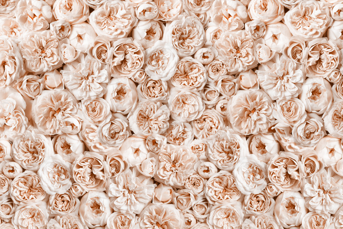 Vintage Peach Floral Wallpaper