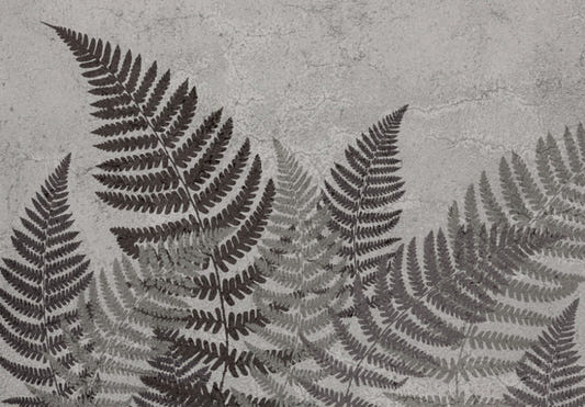 Botanical Shadows Wallpaper Mural