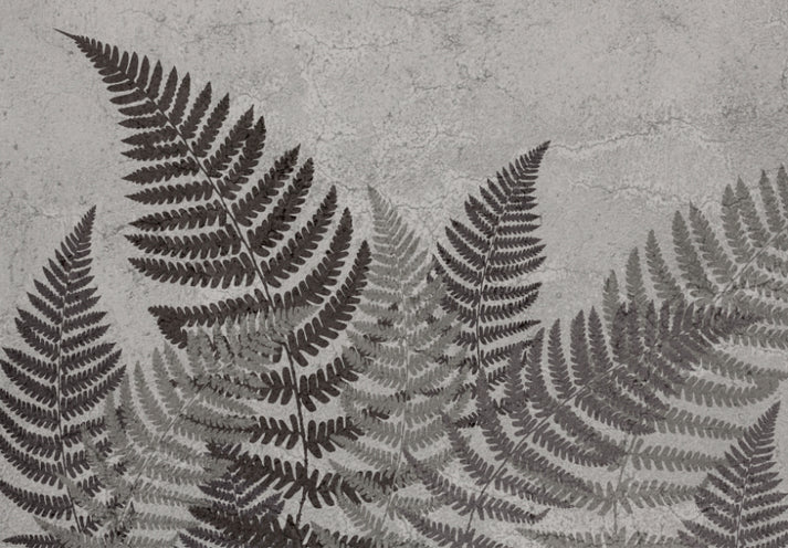 Botanical Shadows Wallpaper Mural in your room — zoomed