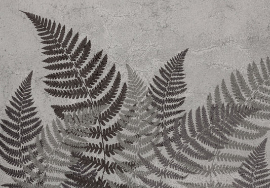 Botanical Shadows Wallpaper Mural