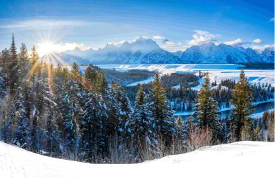 Winter Majesty Wall Mural in your room — zoomed