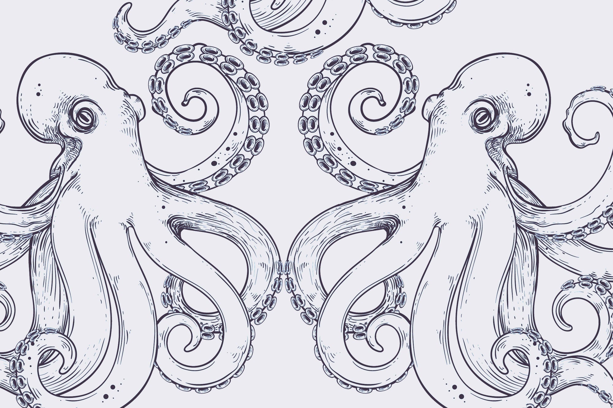 Giant Octopus Sea Wall Mural