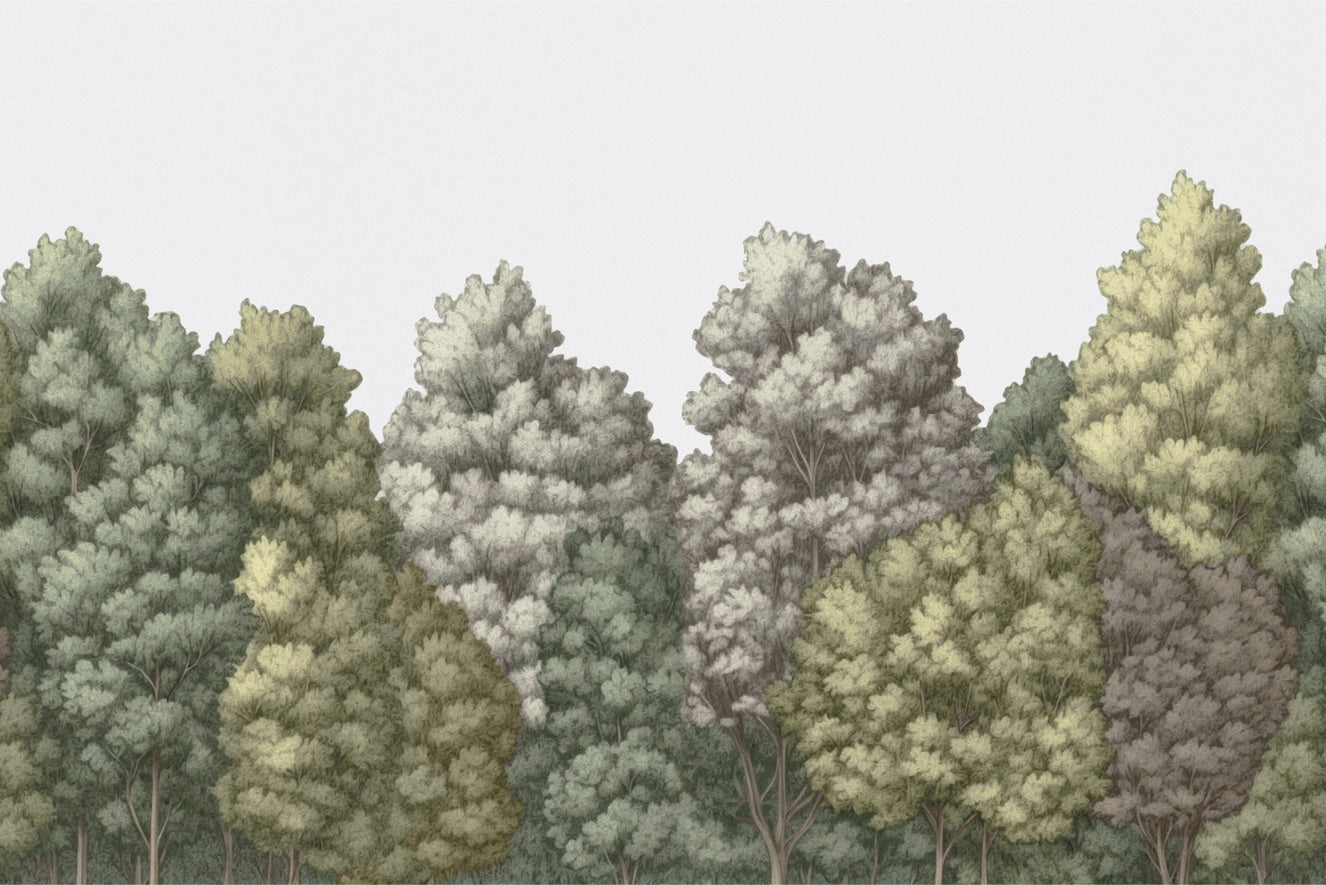 Forest Canopy Wallpaper Mural