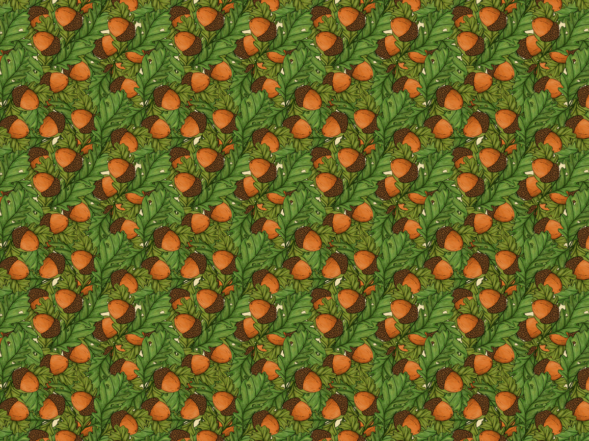 Acorns Wallpaper for Walls in your room