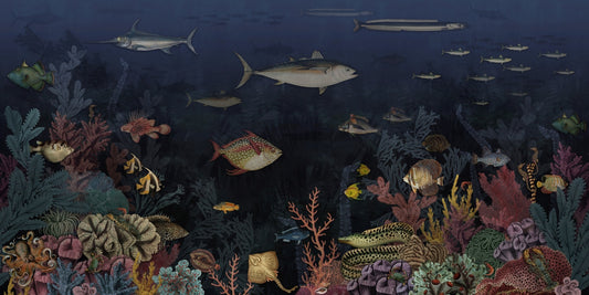 Colorful Aquatic Plants Fish Corals Ocean Pattern Wallpaper