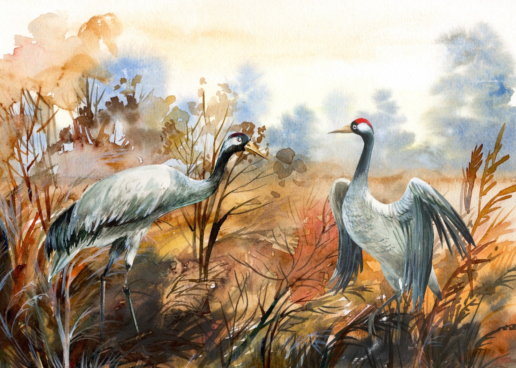 Autumn landscape & crane birds watercolor wallpaper