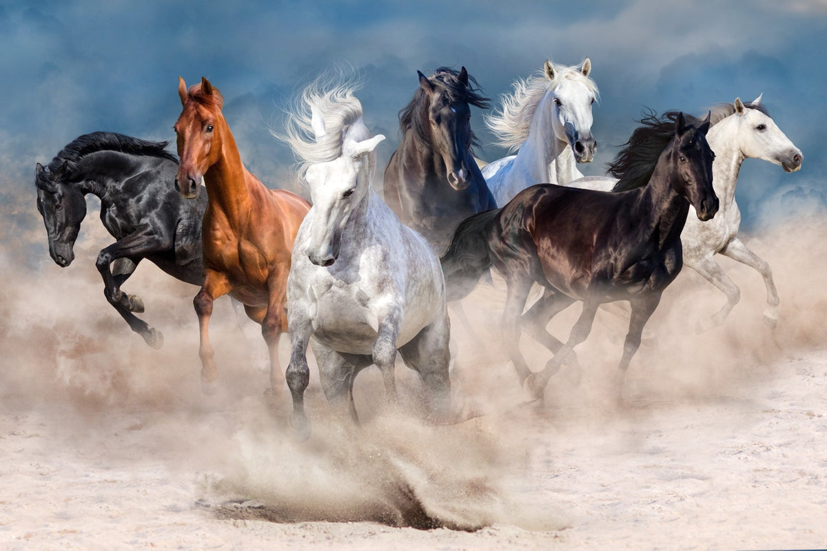 Stormy Running Horse Desert Wallpaper Mural in your room — zoomed