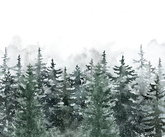 Misty Green Pine Forest Scandinavian Wallpaper Mural