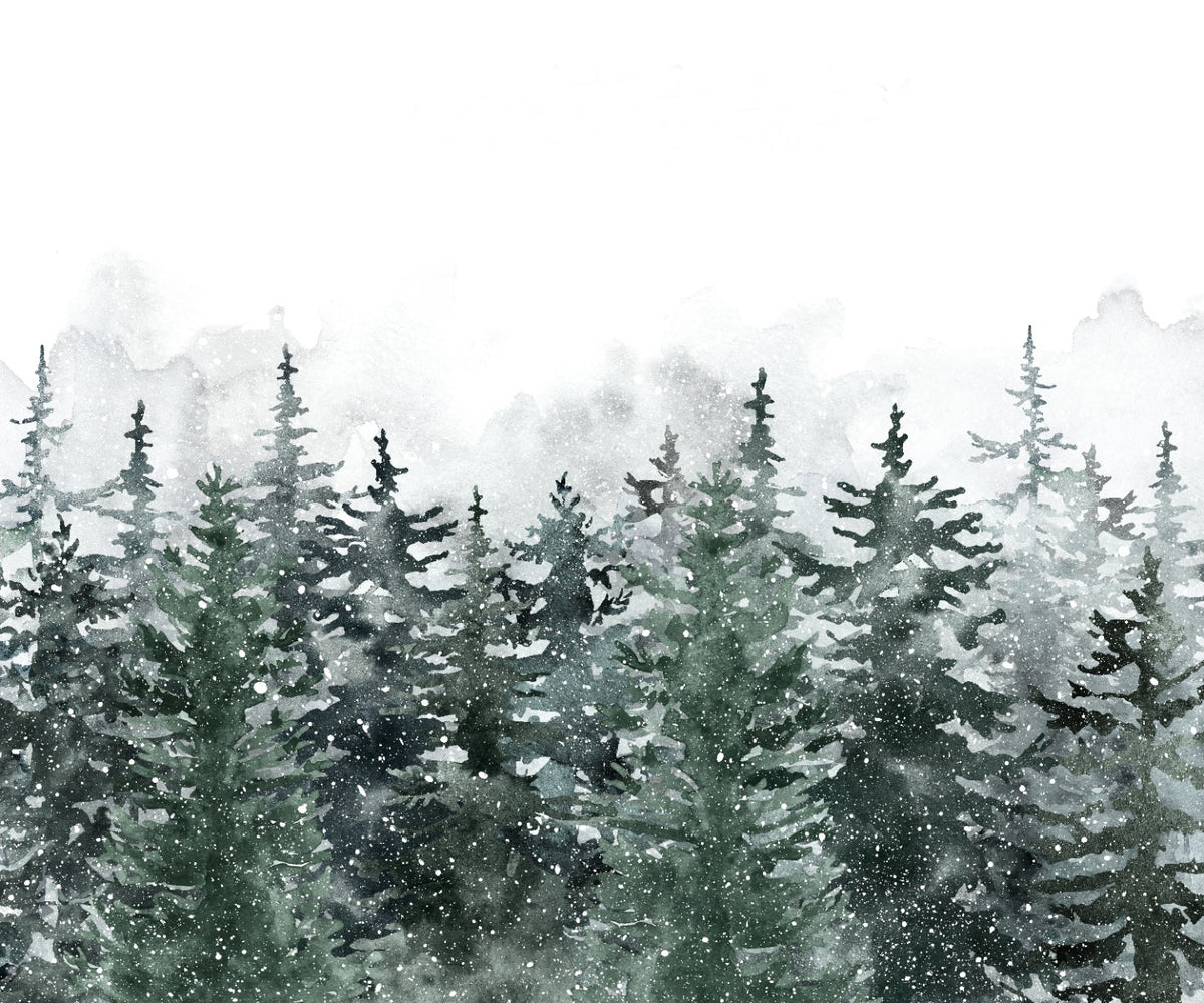 Misty Green Pine Forest Scandinavian Wallpaper Mural in your room — zoomed