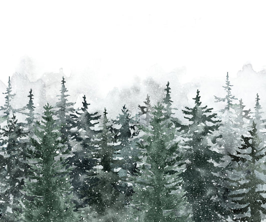 Misty Green Pine Forest Scandinavian Wallpaper Mural