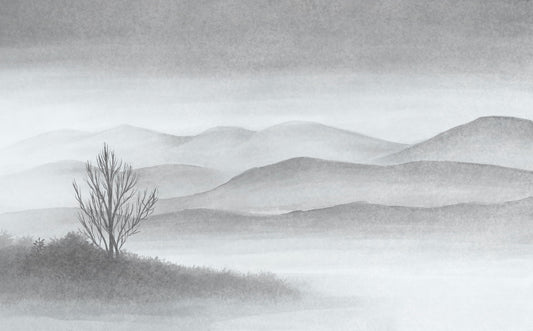 Foggy Mountains Lake Landscape Wallpaper Murals