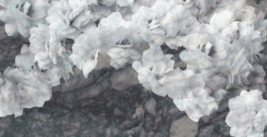 White Orchids Wallpaper Murals