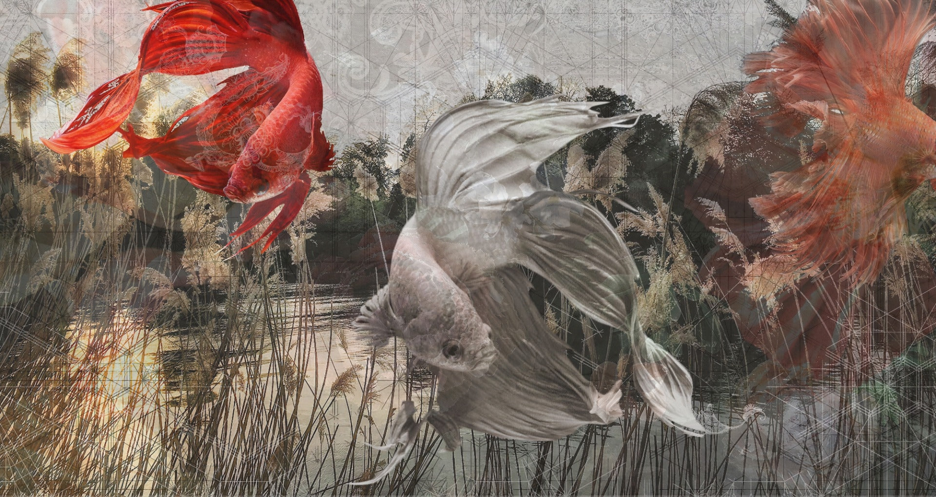 Underwater Fishes Wallpaper Murals