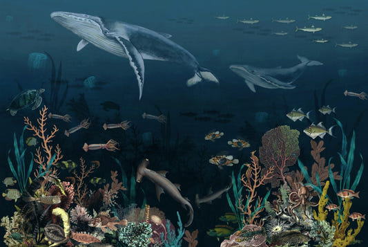Ocean Wallpaper Whales, Sea Horse, Octopus, Tortoise Wall Murals