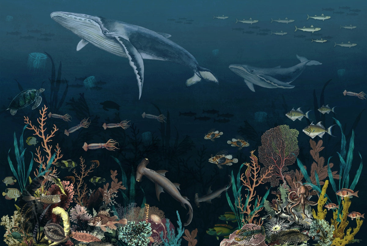 Ocean Wallpaper Whales, Sea Horse, Octopus, Tortoise Wall Murals