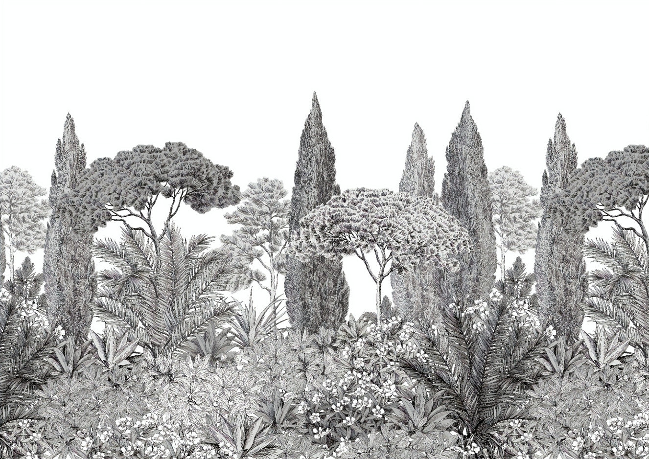 Drifting Grey Deodar Dreams Wall Murals