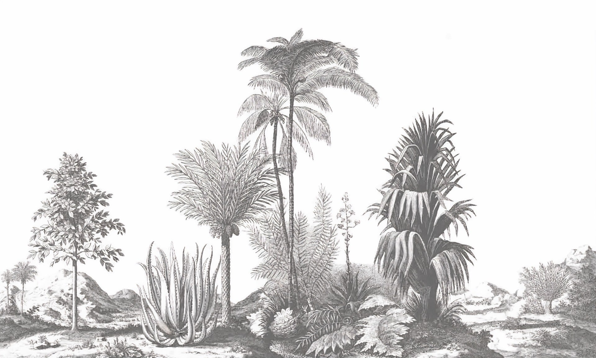 Greystone Palm Paradise Wall Murals