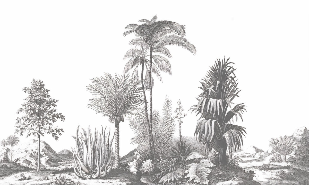Greystone Palm Paradise Wall Murals in your room — zoomed