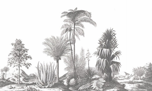 Greystone Palm Paradise Wall Murals