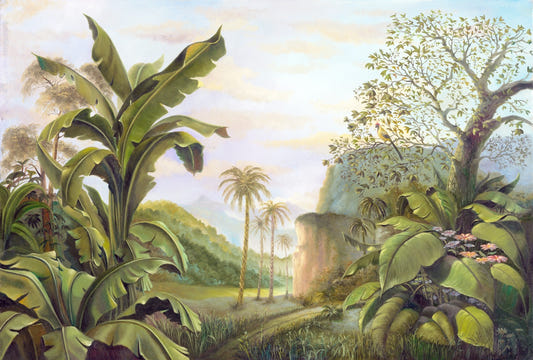 Mythical Rainforest Kingdom Wall Murals