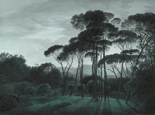 Misty Dark Green Forest Wallpaper for Walls