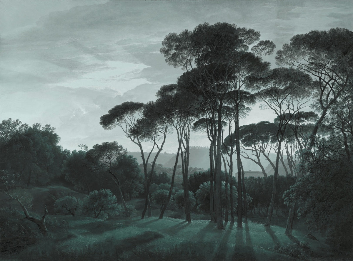 Misty Dark Green Forest Wallpaper for Walls in your room — zoomed