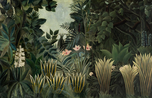Serene Tropical Forest Wallpaper Murals