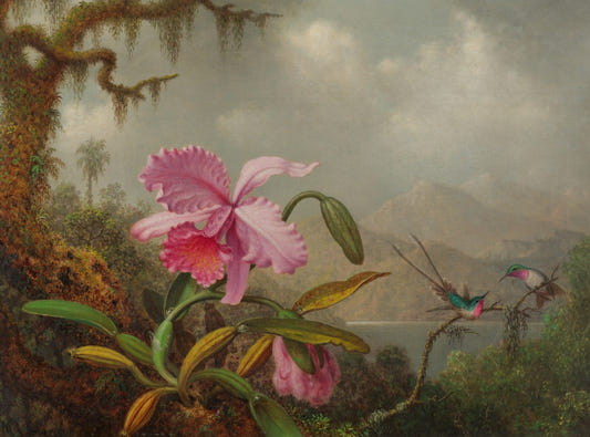 Pastel Flower Elegance Wallpaper Murals
