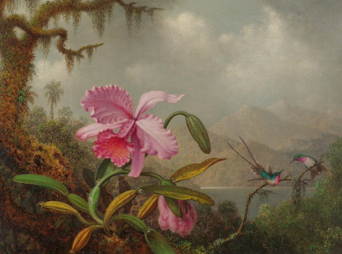 Pastel Flower Elegance Wallpaper Murals in your room — zoomed