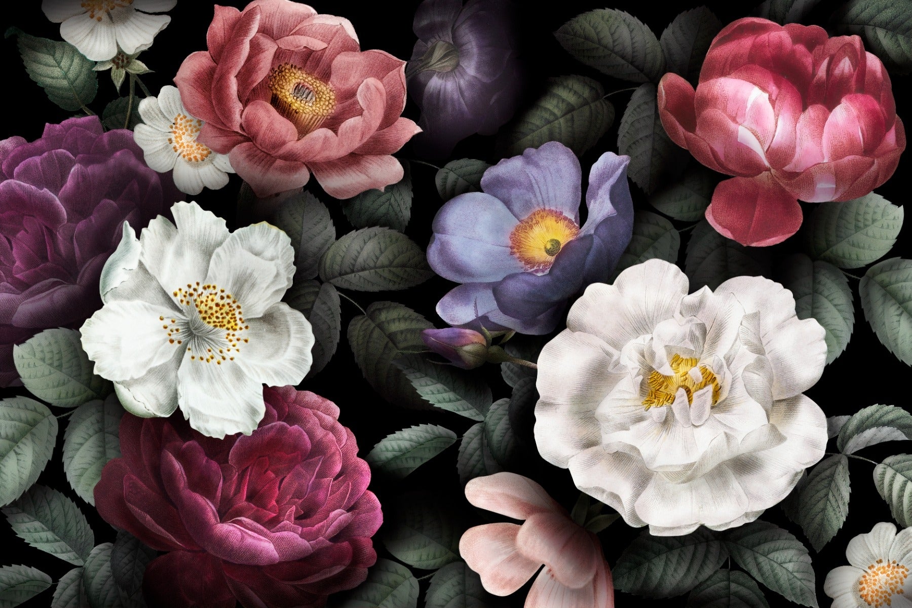 Dark Colorful Floral Wallpaper for walls