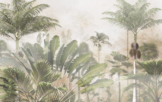 Tropical Palm Tree Aesthetic Leaf Wallpaper Murals
