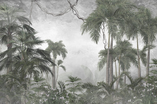 Foggy Forest Tropical Big Palm Banana Tree Wall Murals