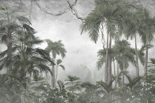 Foggy Forest Tropical Big Palm Banana Tree Wall Murals