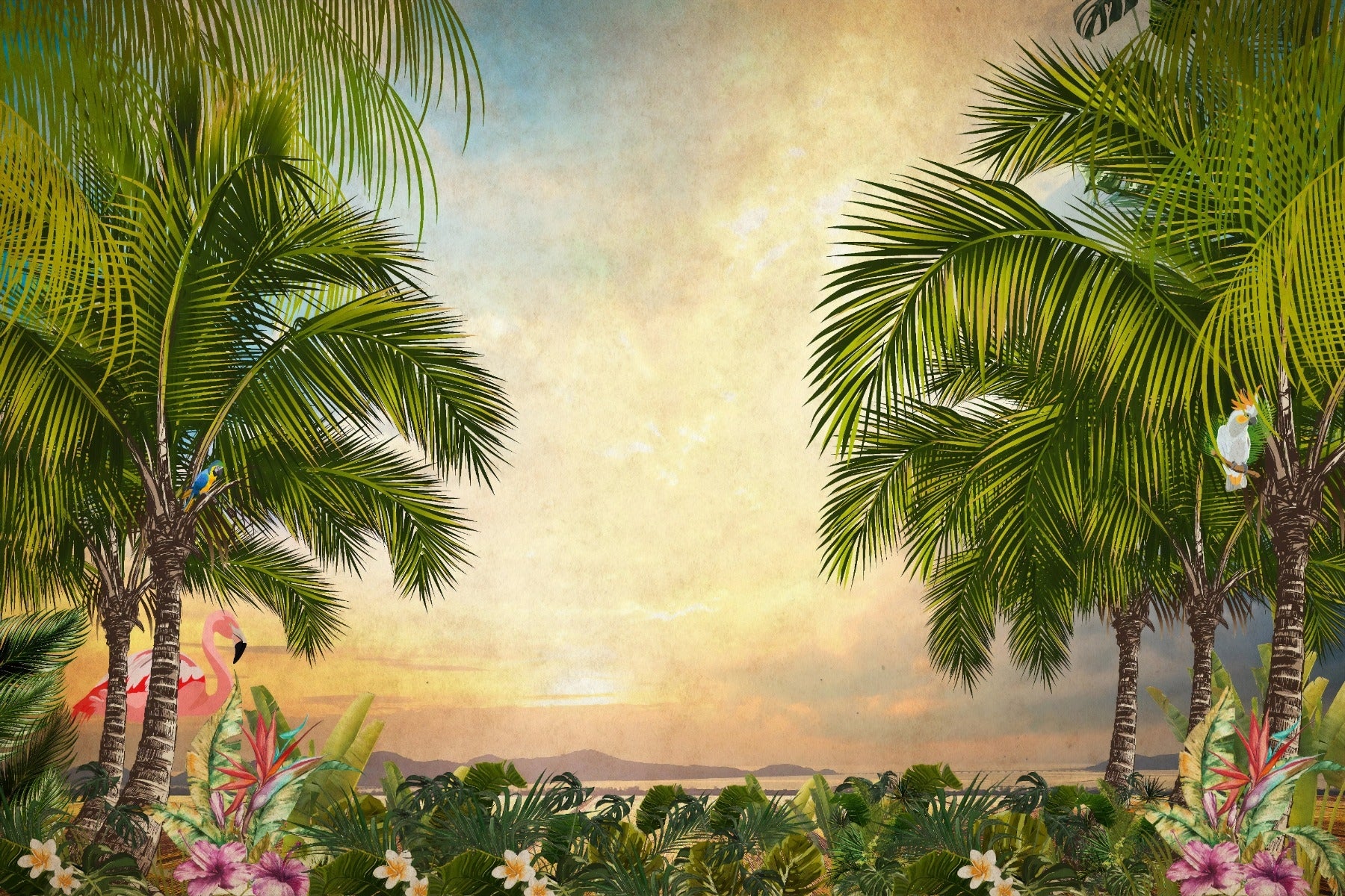 Green Tree Forest Sunset Wallpaper Wall Murals