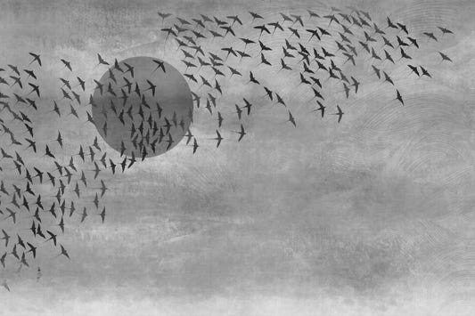 Flying Birds Gray Tone Wallpaper