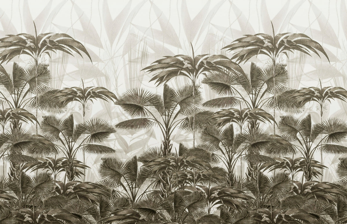 Wild Palm Canopy Wallpaper Murals in your room — zoomed