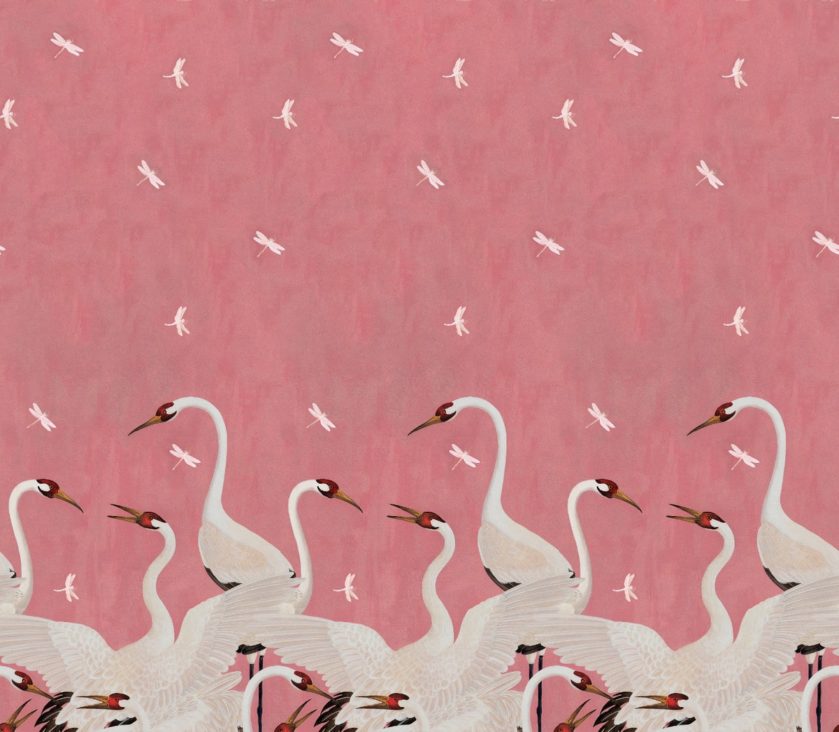 Graceful Sakura Soar Wallpaper Murals in your room