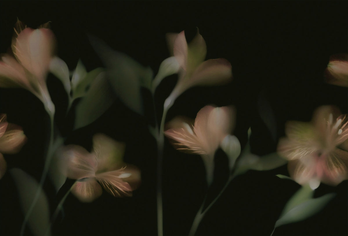 Dark Vintage Jasmine Flower Wallpaper Mural in your room — zoomed