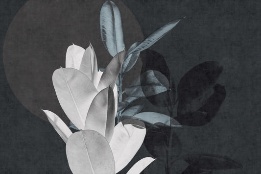 Exotic Leaf Texture Art Wall Murals