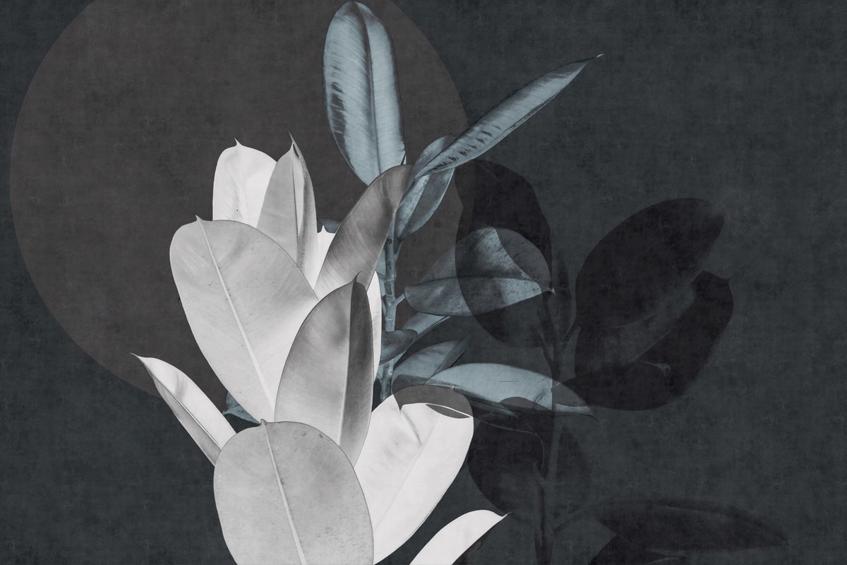 Exotic Leaf Texture Art Wall Murals in your room